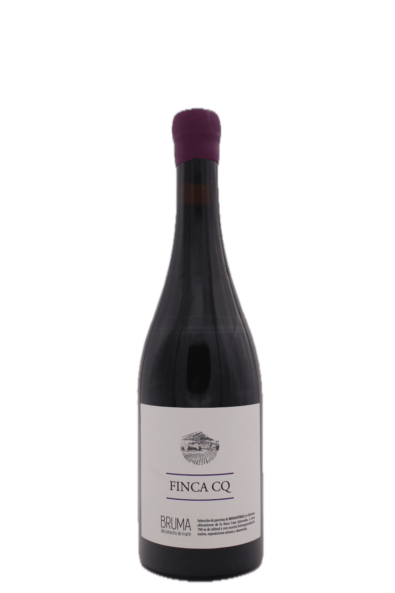 Bodegas Vina Elena - Bruma Finca CQ