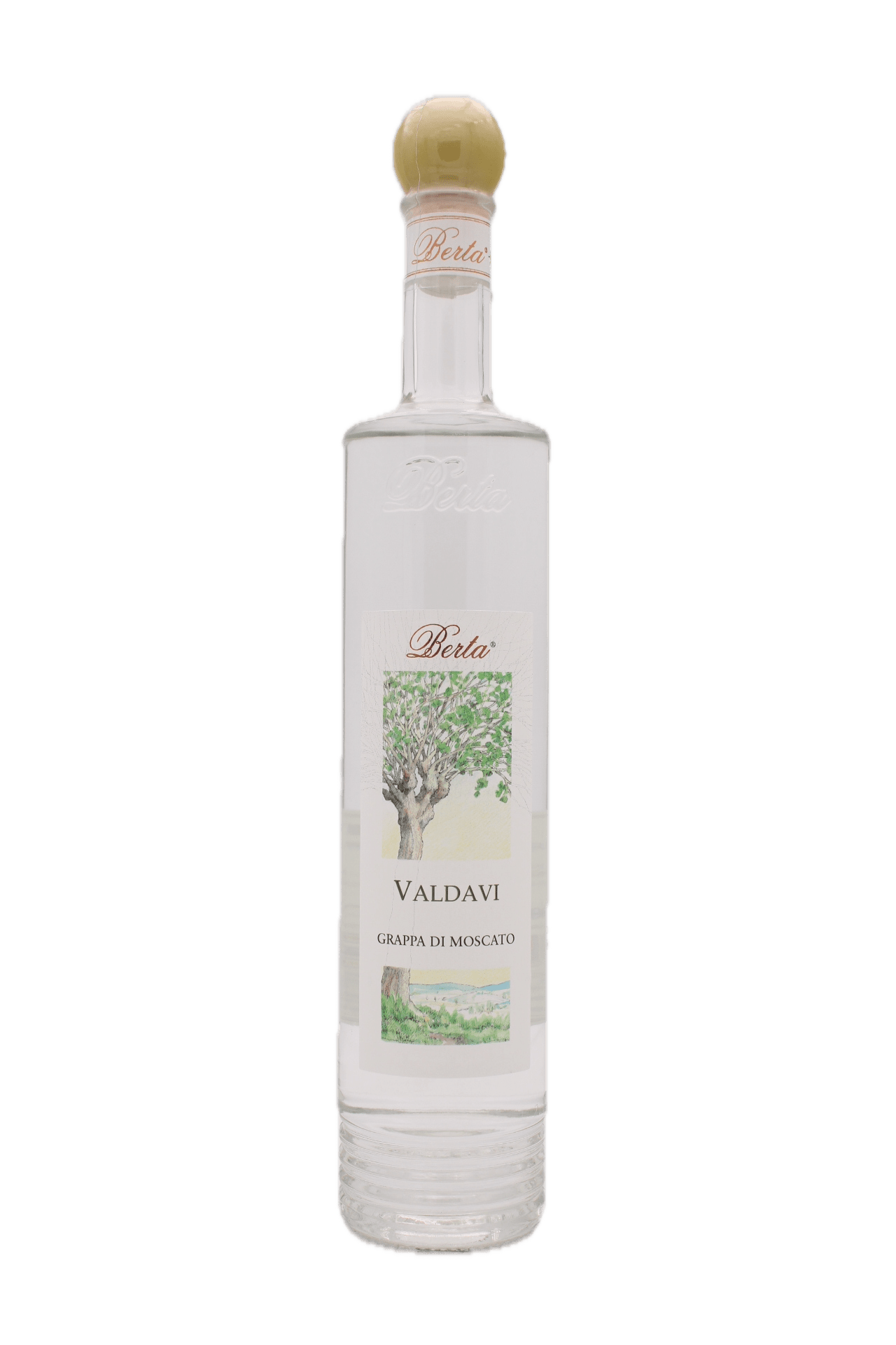 Elisi Berta - Valdavi Grappa di Moscato