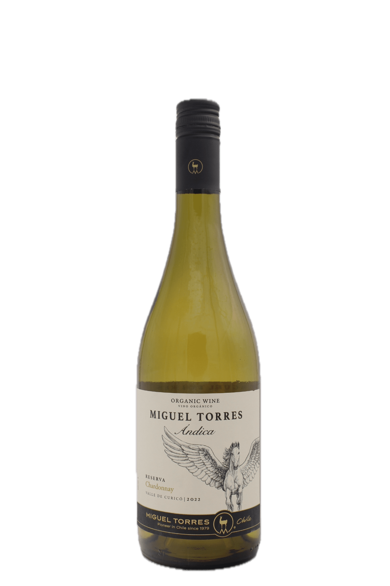 Miguel Torres - Andica Chardonnay Reserva