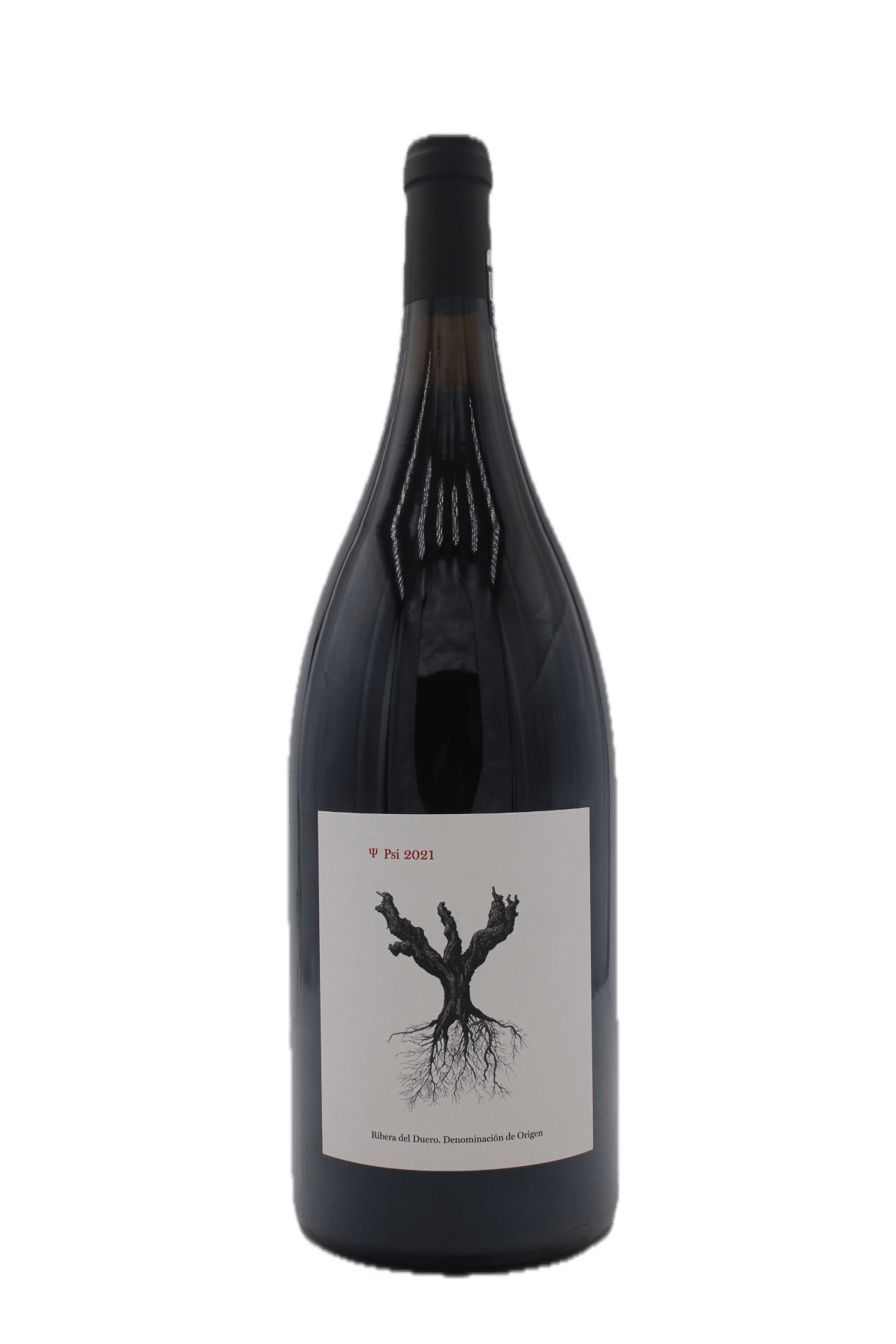 PSI 2021 Dominio de Pingus Magnum